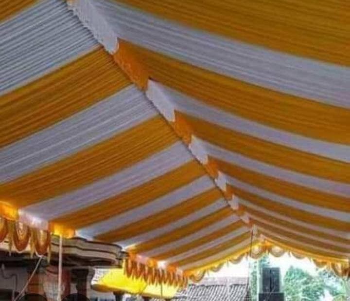 plafon tenda gold white